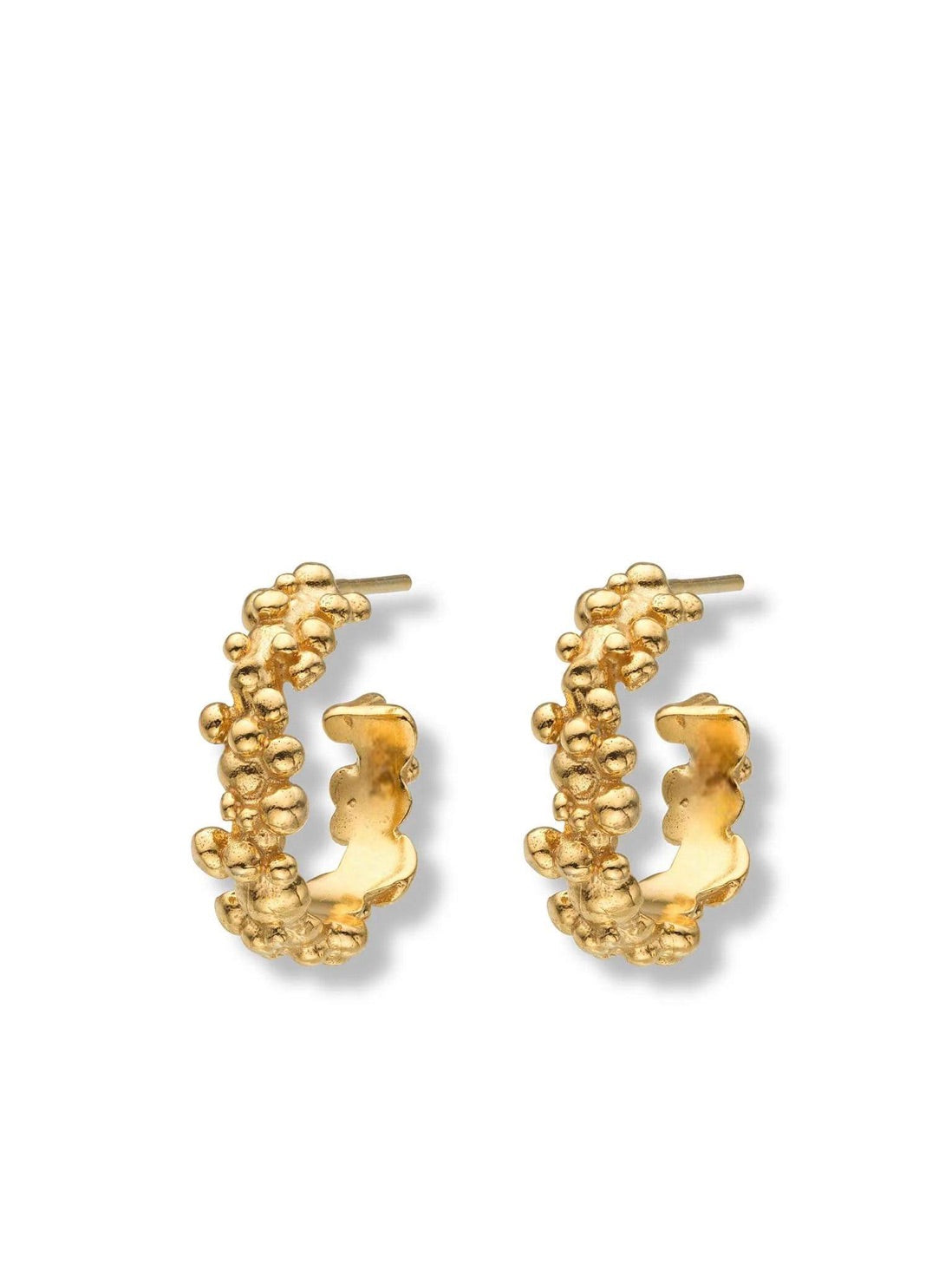Céleste Deux Small Hoop Earrings Gold