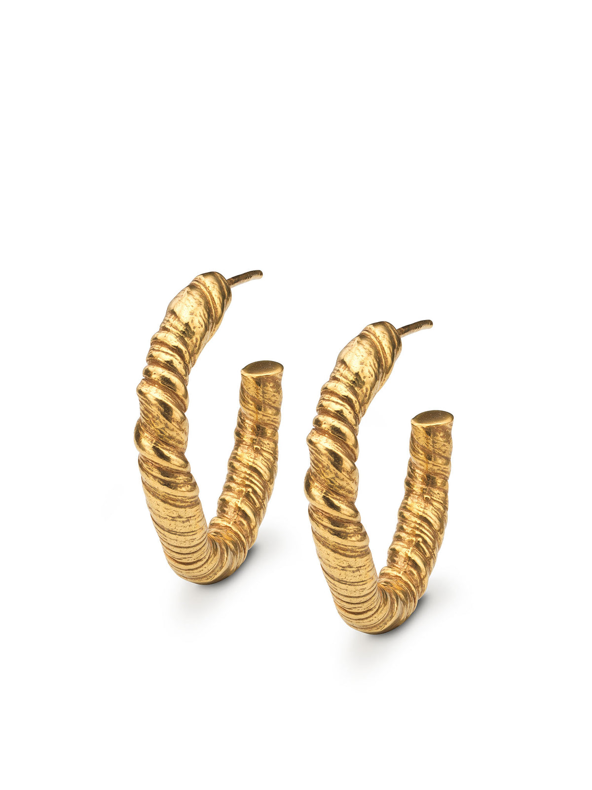 Nautilus Hoop Earrings Gold