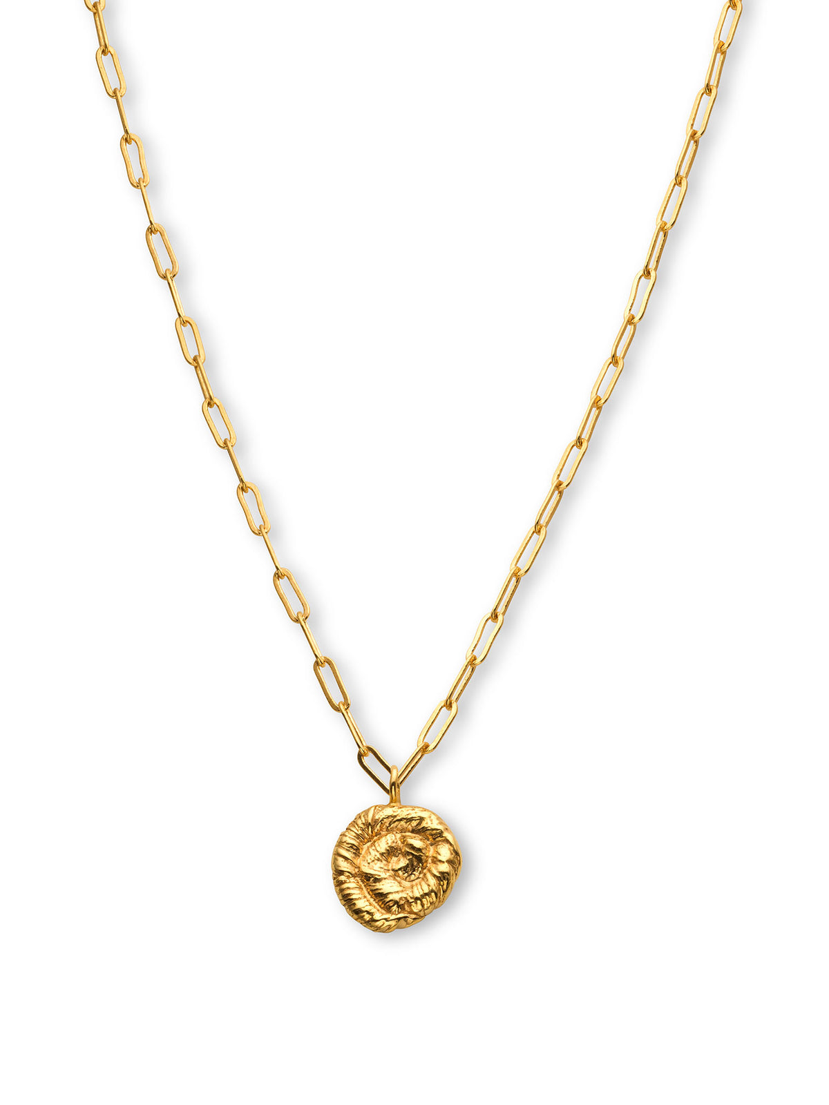 Nautilus Pendant Necklace Gold