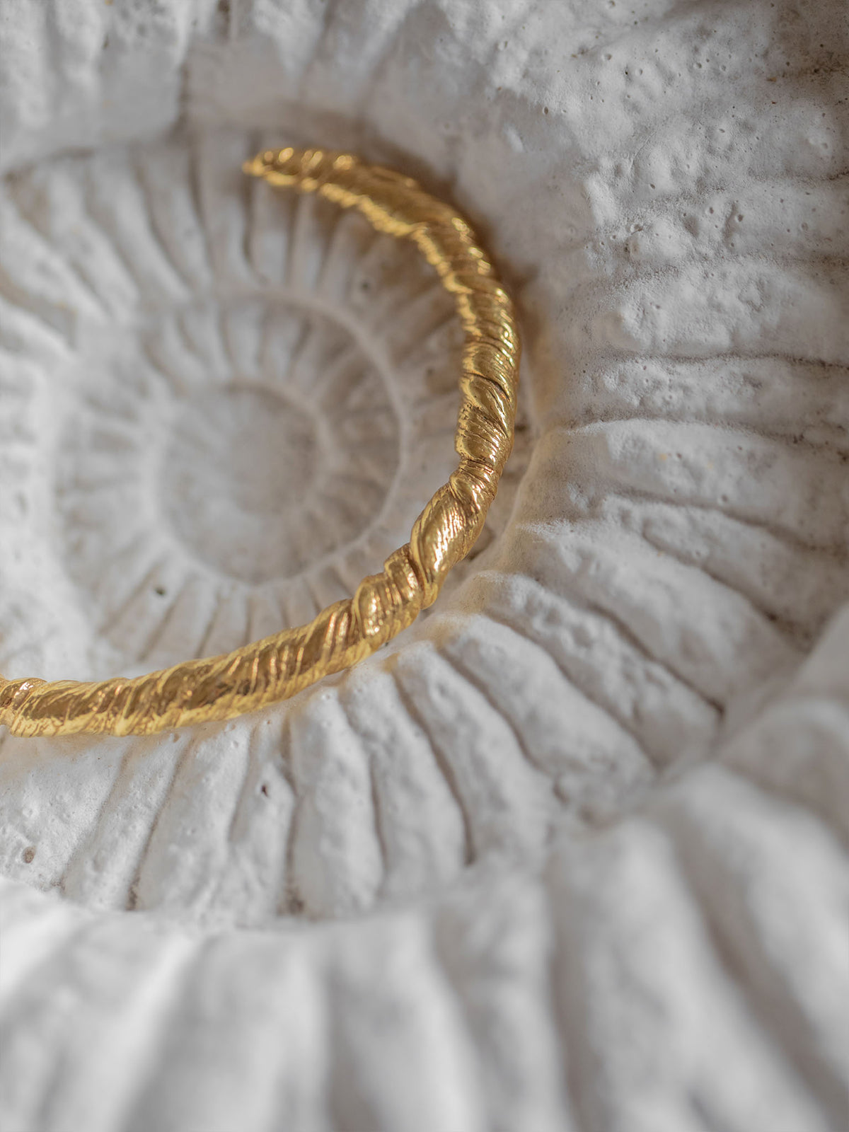 Nautilus Twisted Bracelet Gold