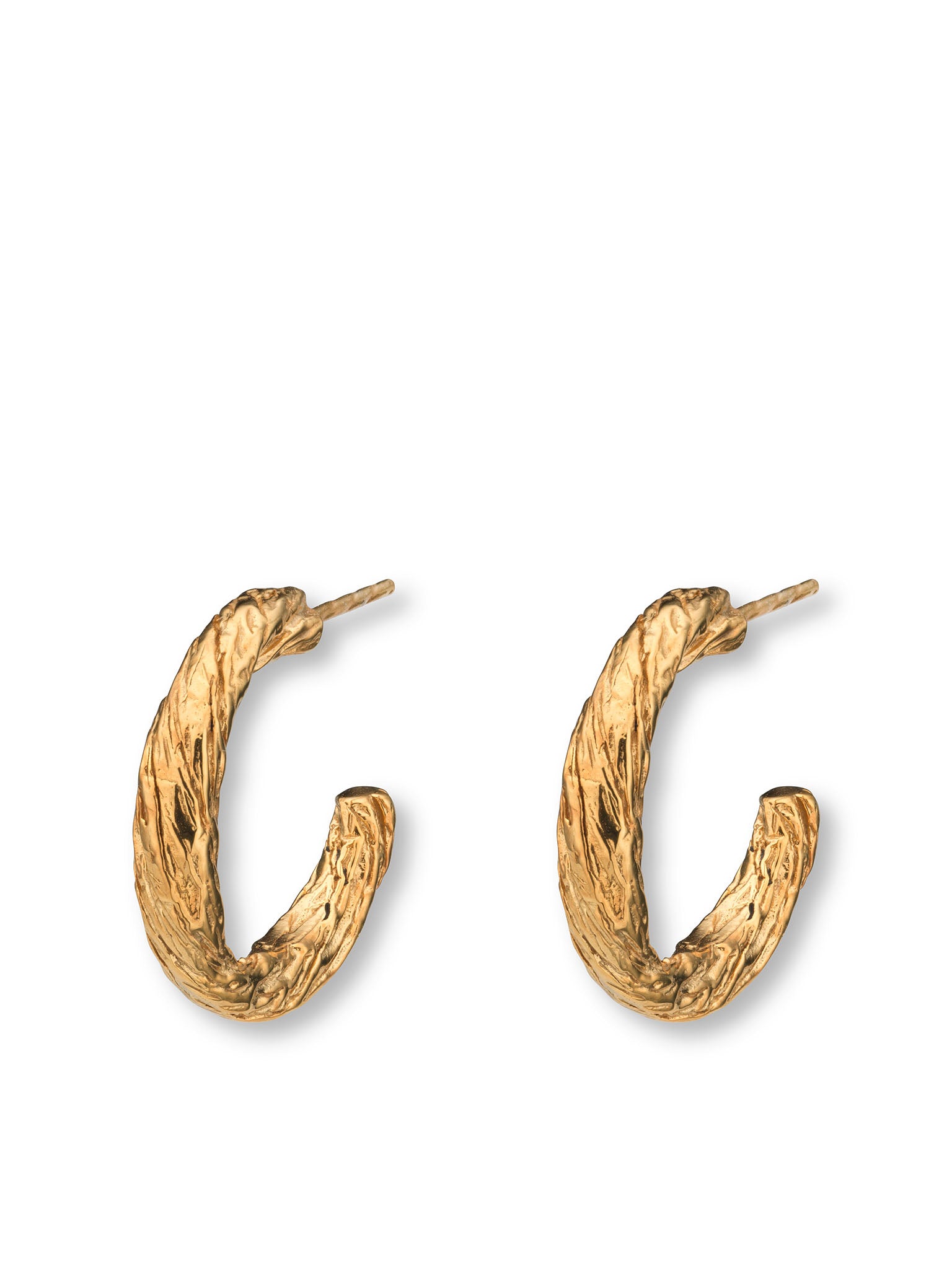 Archaic Small Hoop Earrings Gold