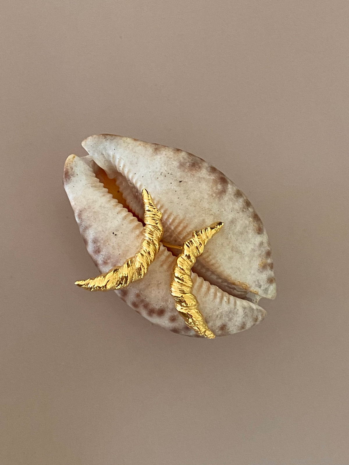 Nautilus Twisted Earrings Gold