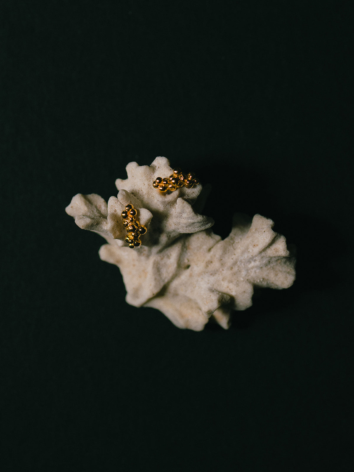 Céleste Deux Caviar Fülbevaló 14 Karátos Arany