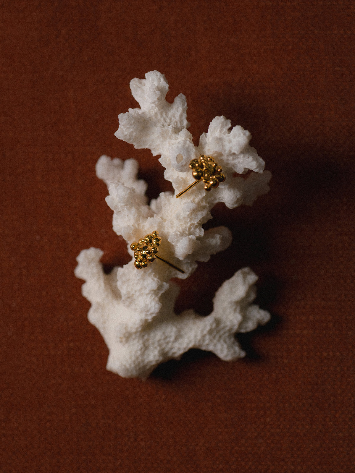 Céleste Deux Kis Fülbevaló 14 Karátos Arany