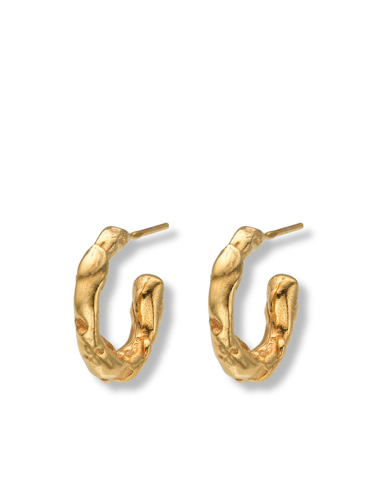 Talisman Small Hoop Earrings 14 ct Gold