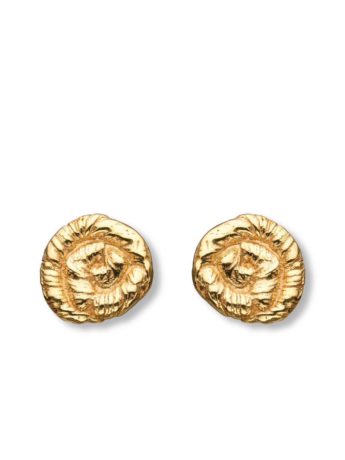 Nautilus Earrings Gold