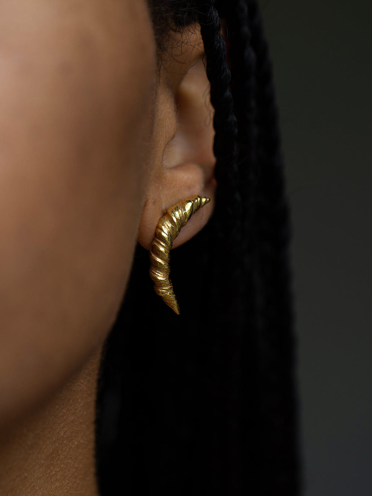 Nautilus Twisted Earrings Gold